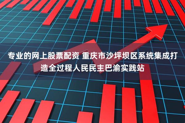 专业的网上股票配资 重庆市沙坪坝区系统集成打造全过程人民民主巴渝实践站