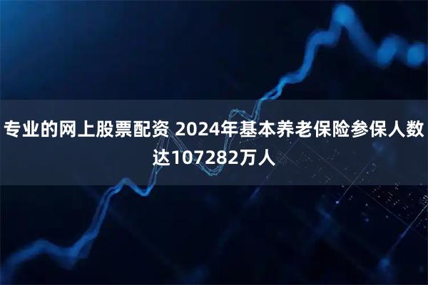 专业的网上股票配资 2024年基本养老保险参保人数达107282万人