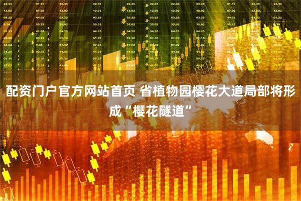 配资门户官方网站首页 省植物园樱花大道局部将形成“樱花隧道”